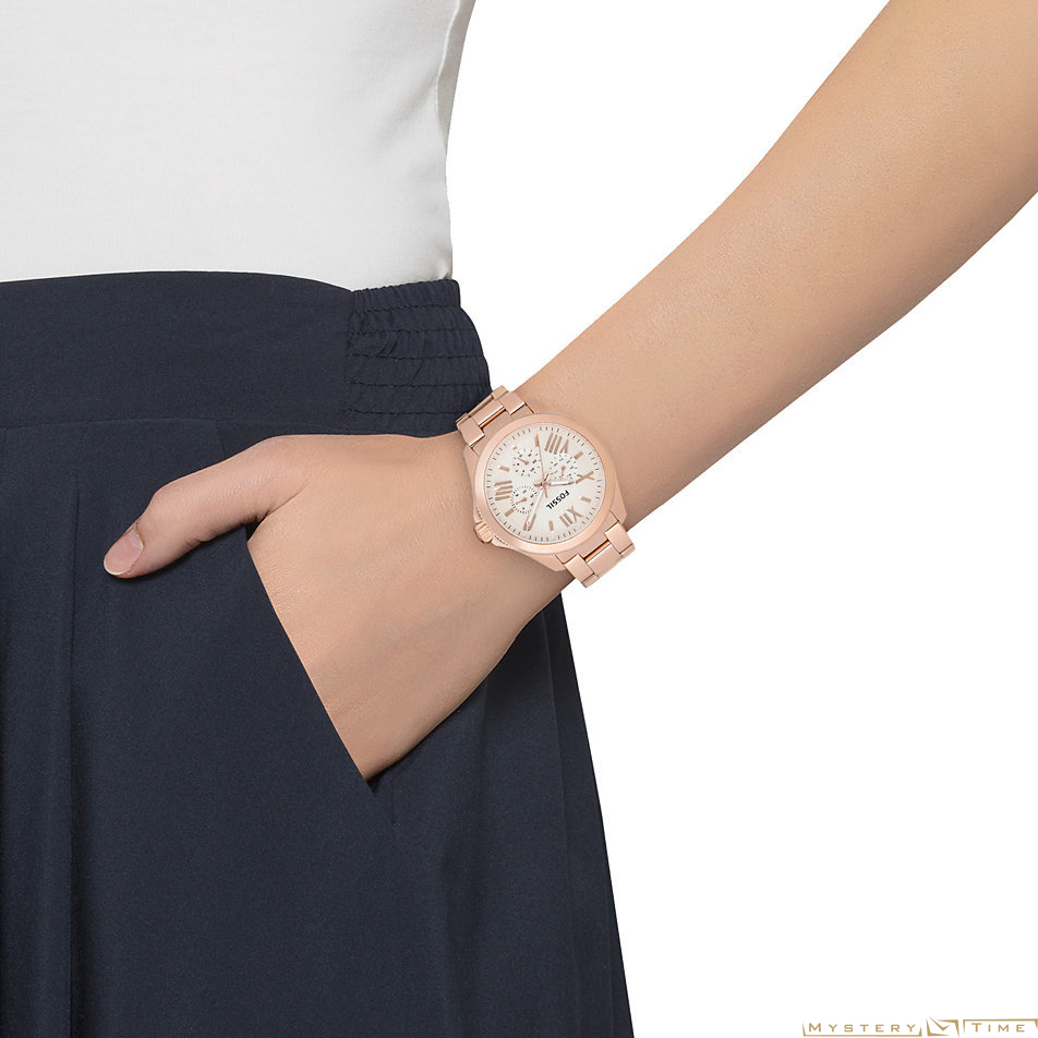 Fossil AM4511