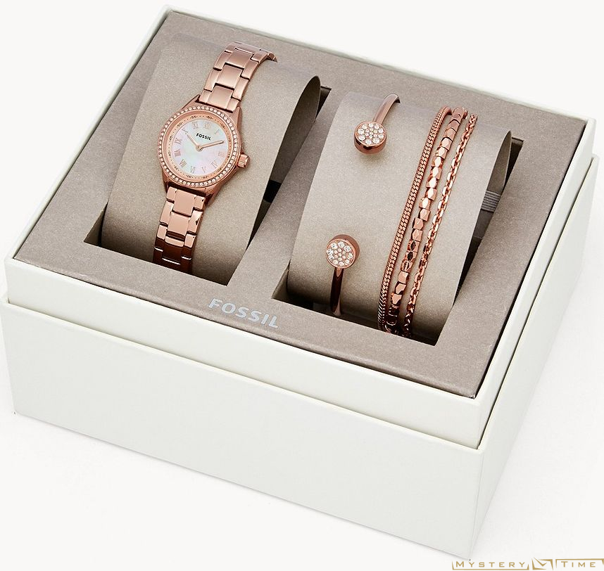 Fossil BQ3148SET