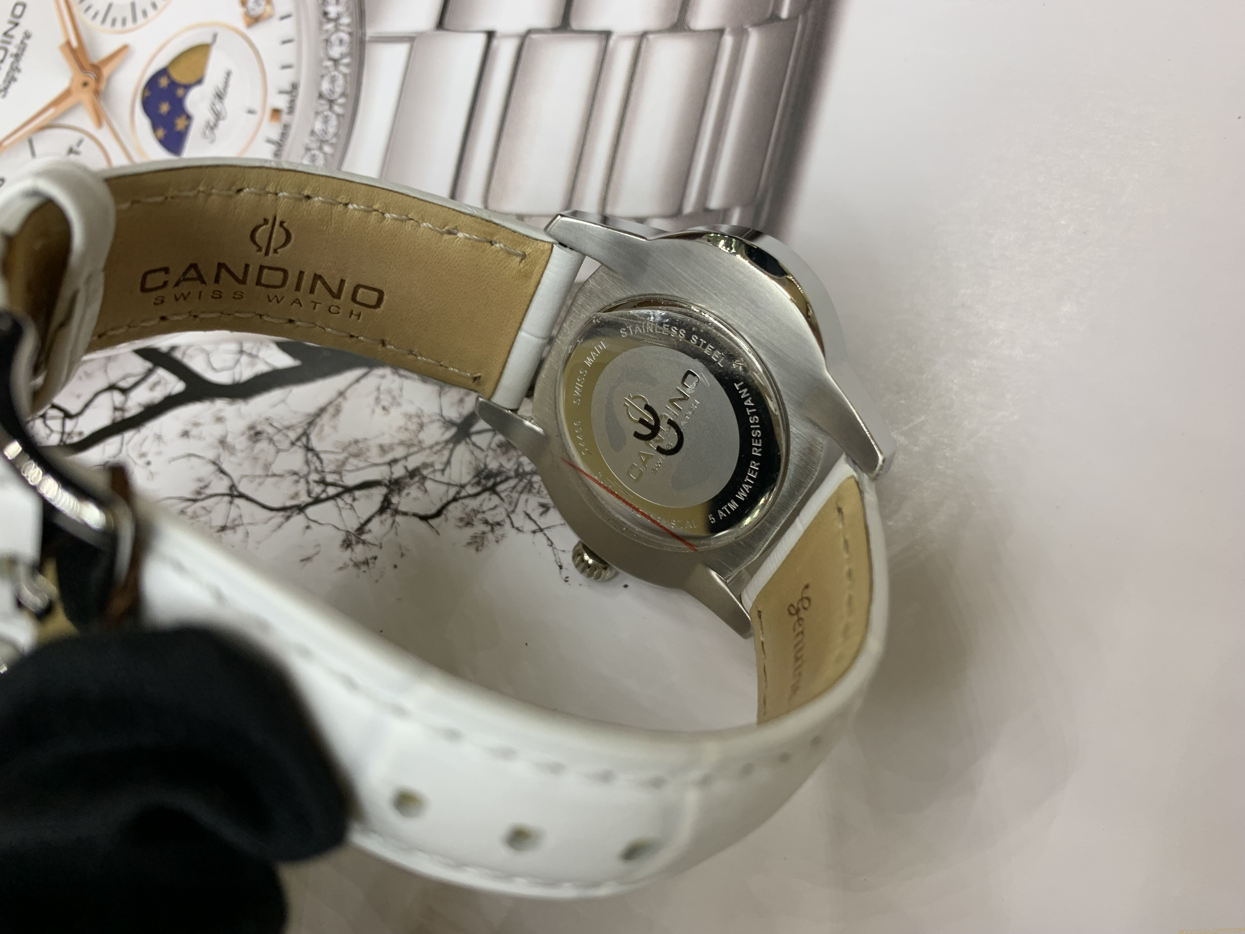 Candino C4466/1