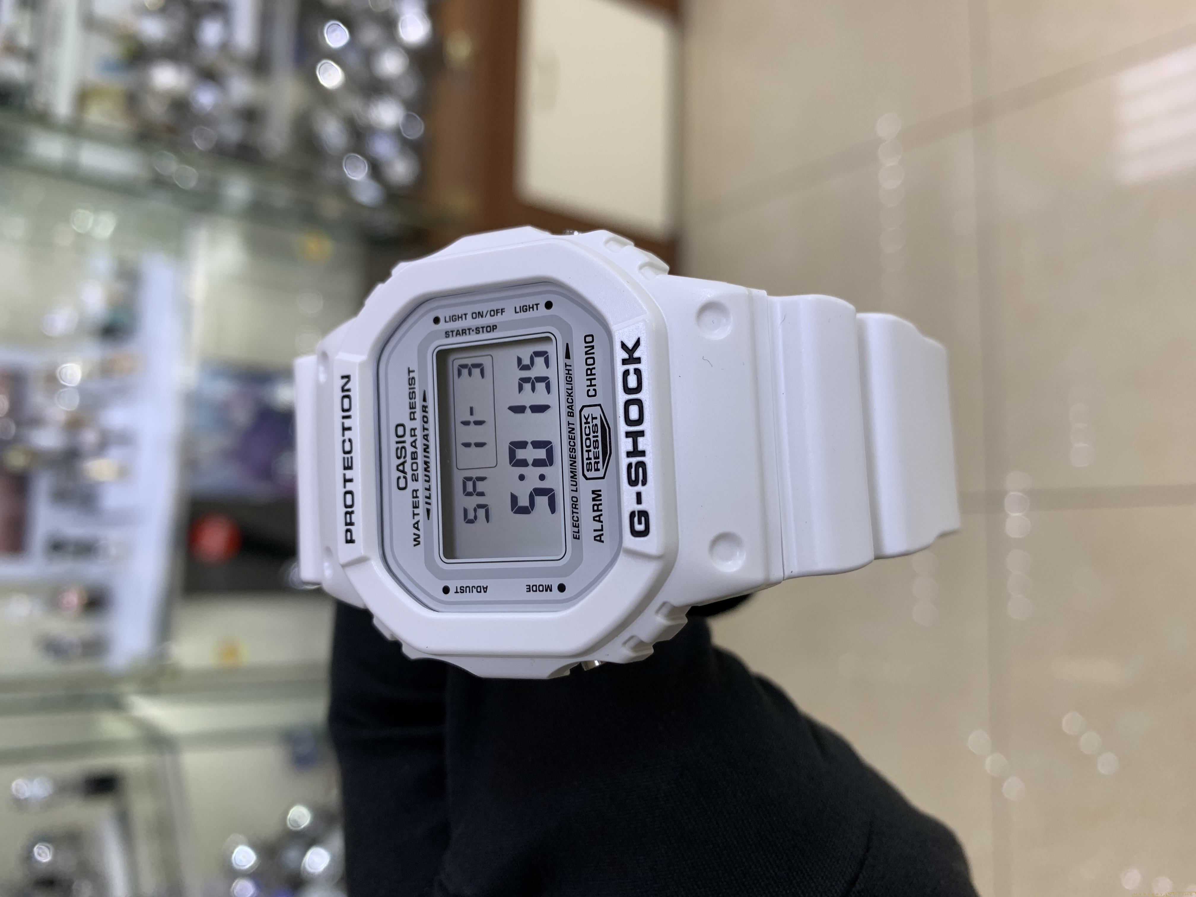 Casio DW-5600MW-7E