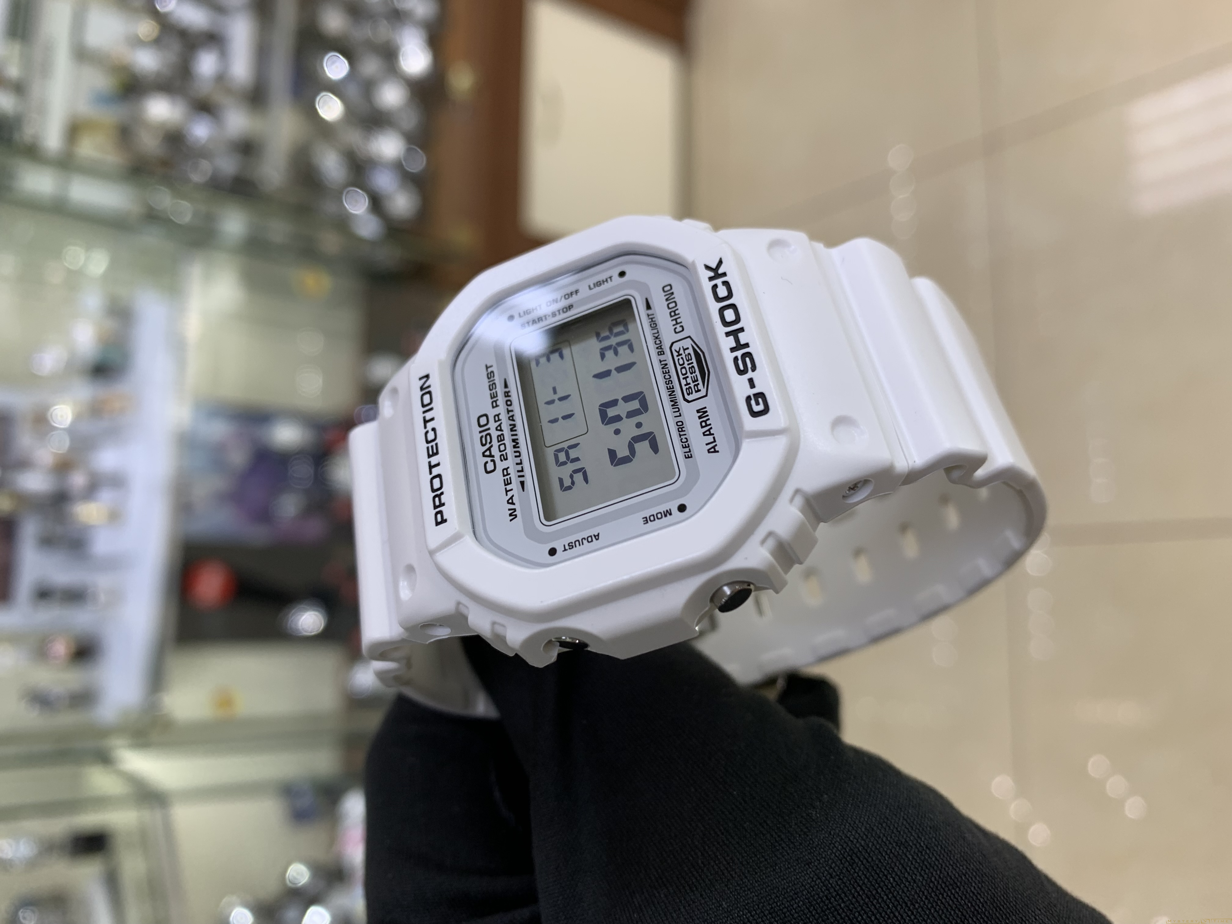 Casio DW-5600MW-7E