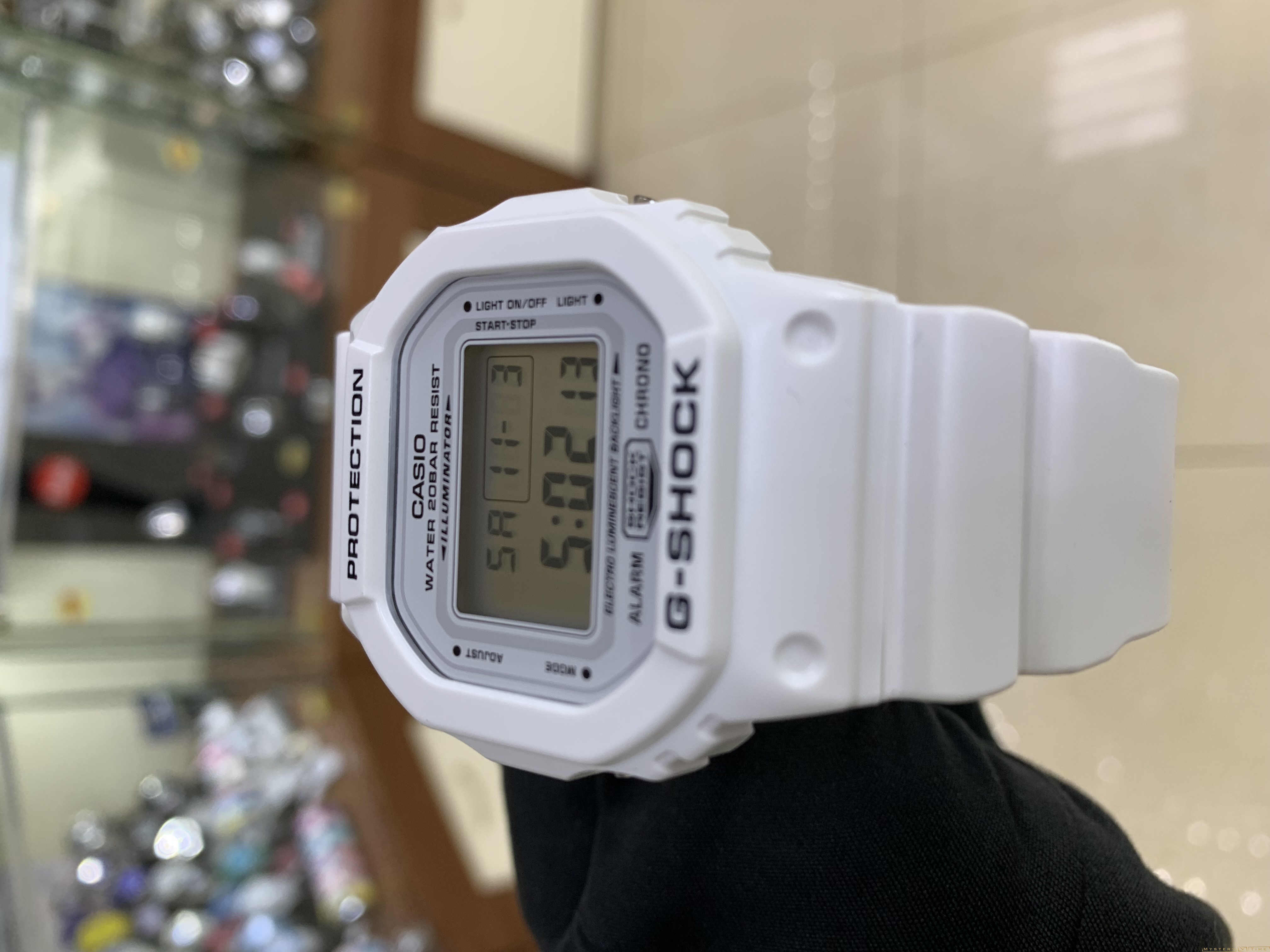 Casio DW-5600MW-7E