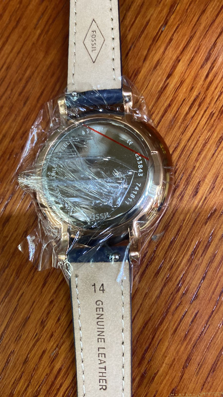 Fossil ES3843