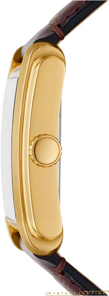 Fossil FS6011