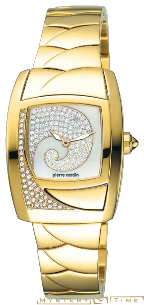 Pierre Cardin PC100332F03