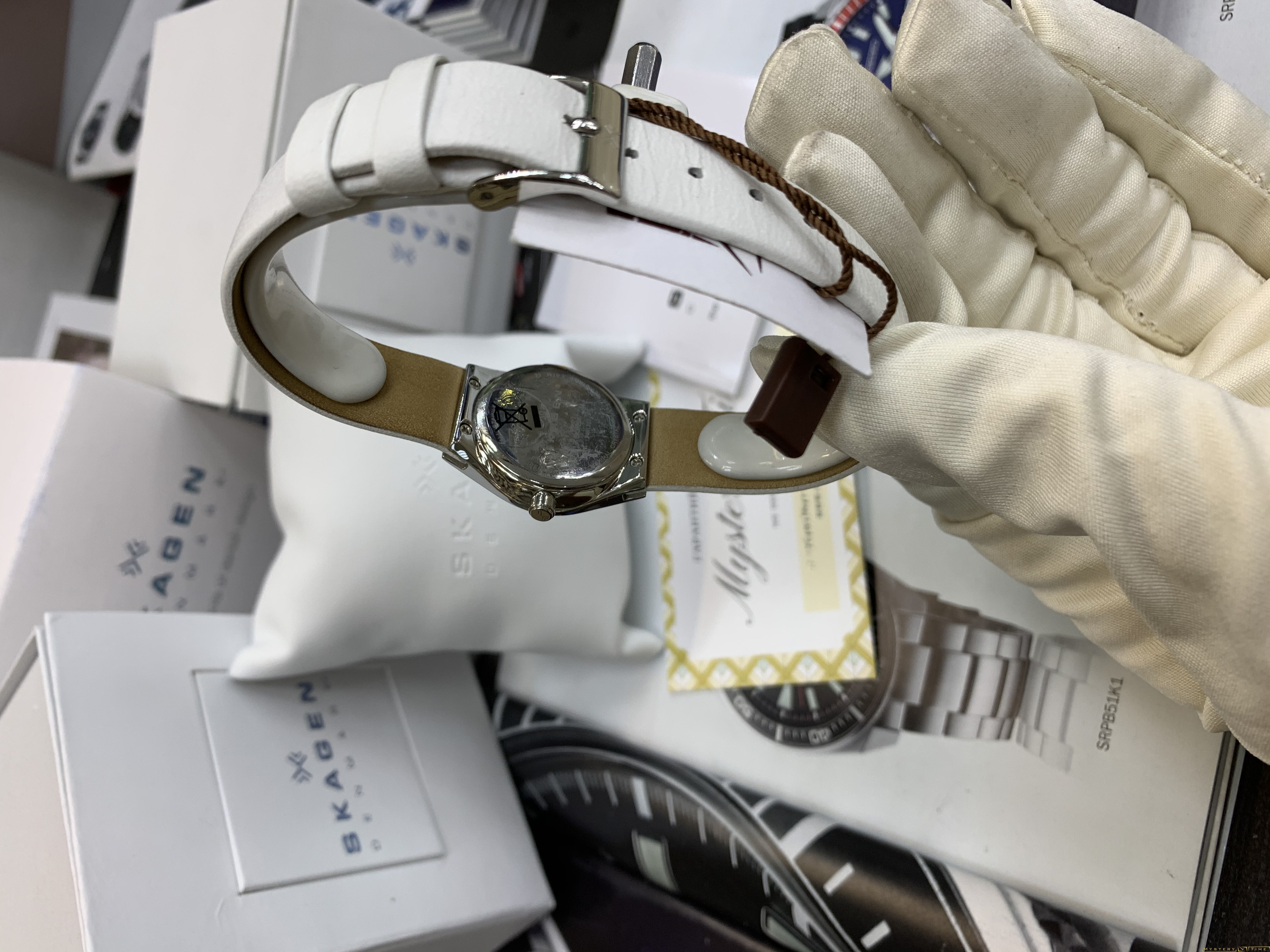 Skagen SKW2047