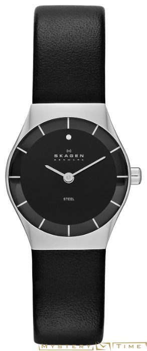 Skagen SKW2048