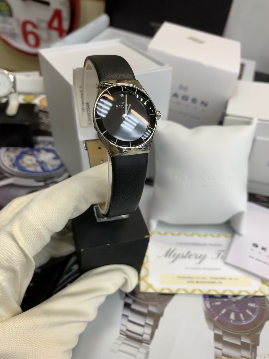 Skagen SKW2048