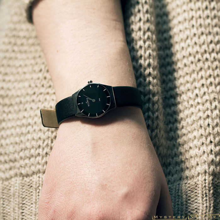 Skagen SKW2048