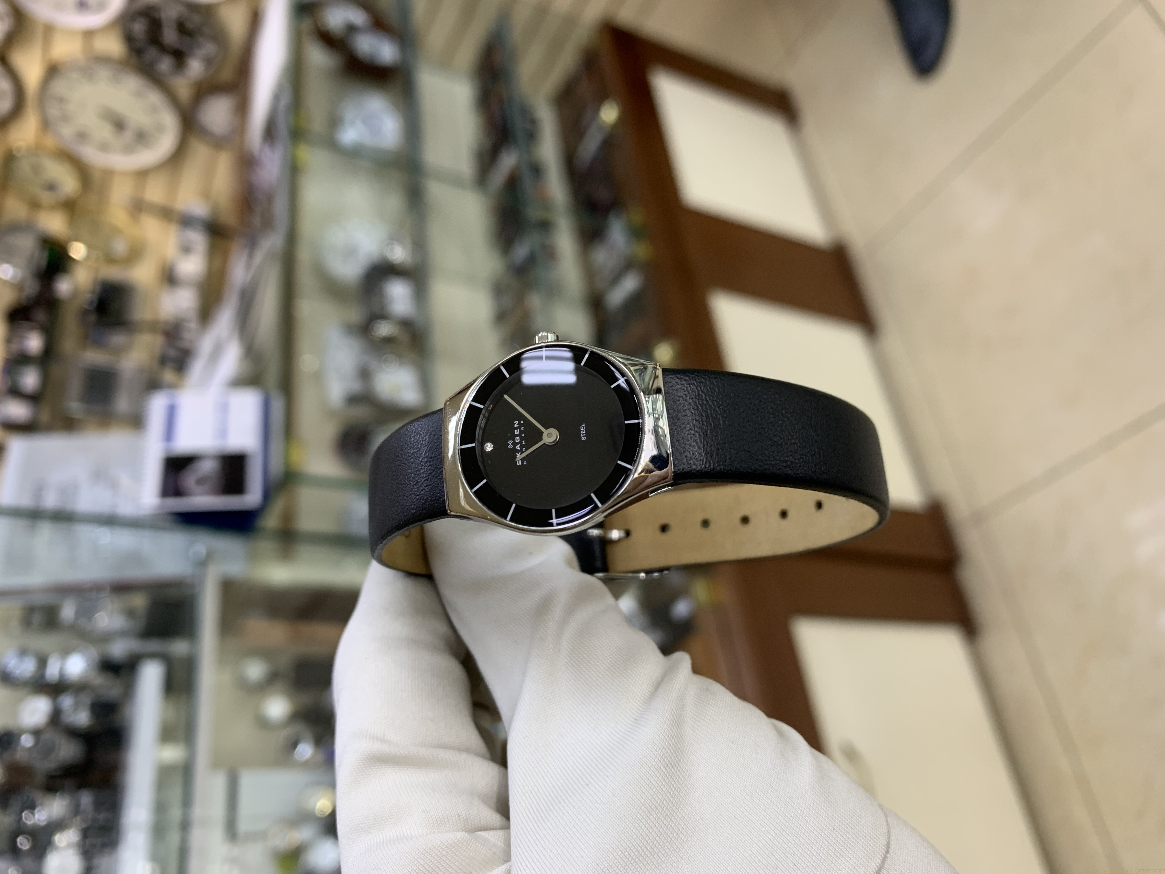 Skagen SKW2048