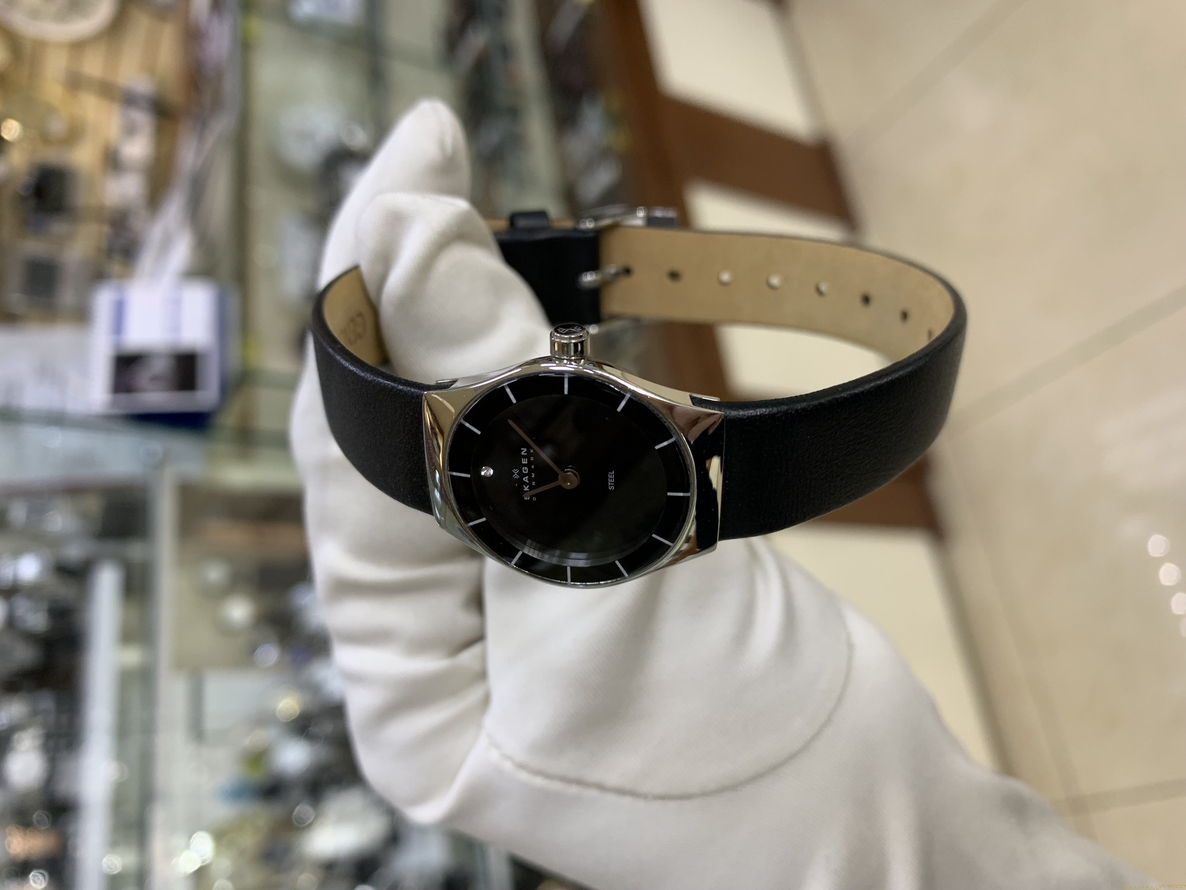Skagen SKW2048