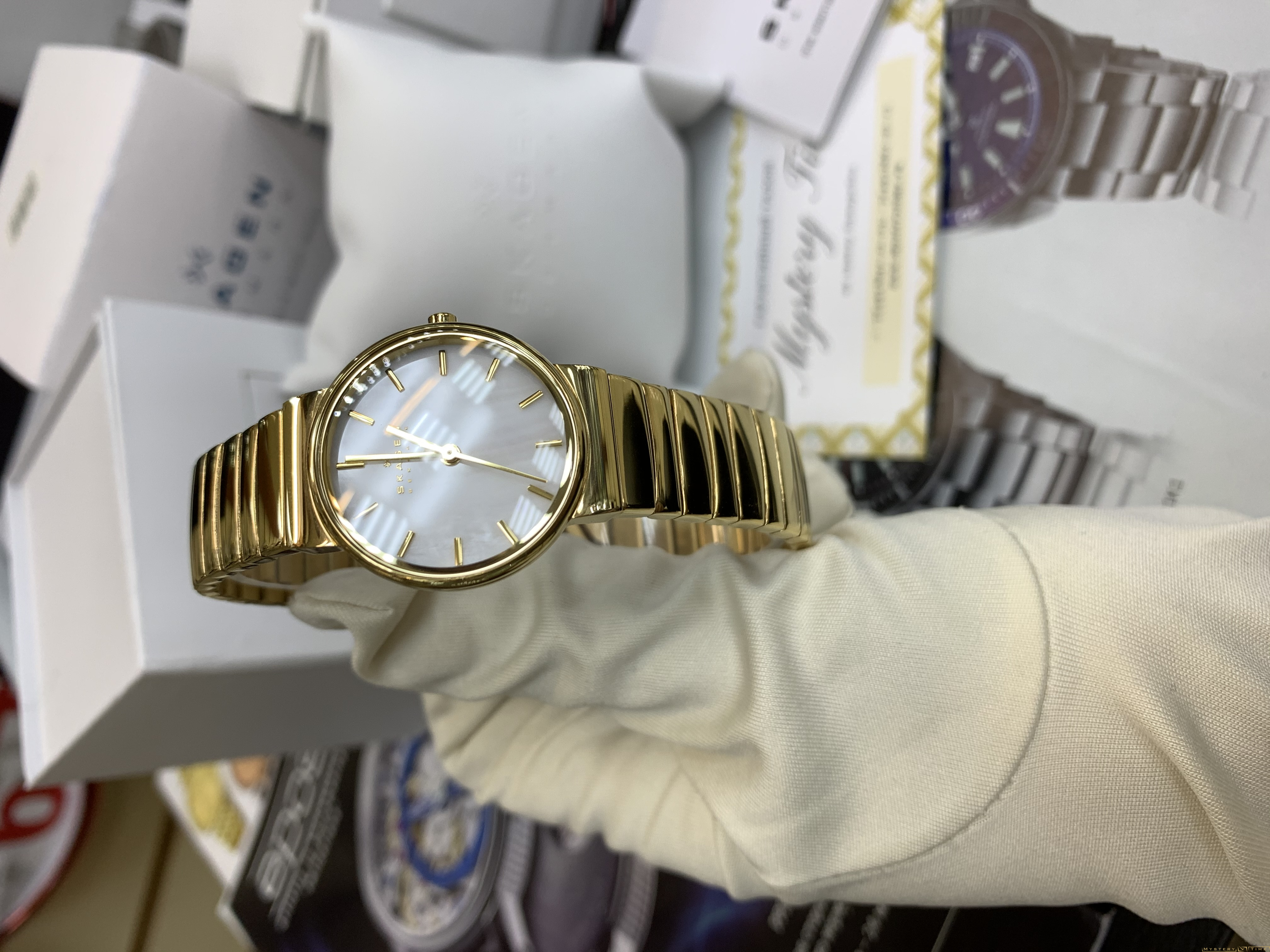 Skagen SKW2199