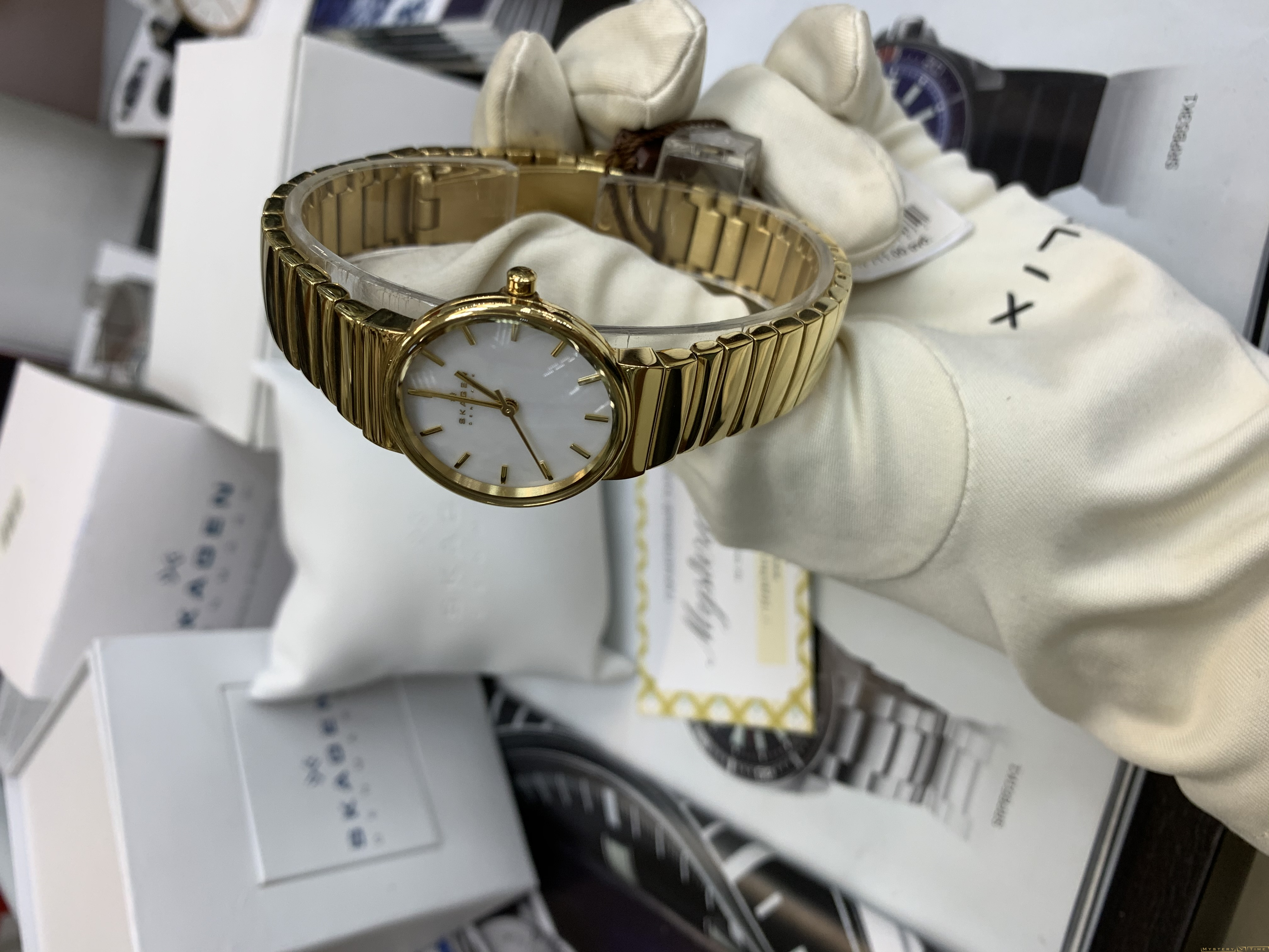 Skagen SKW2199