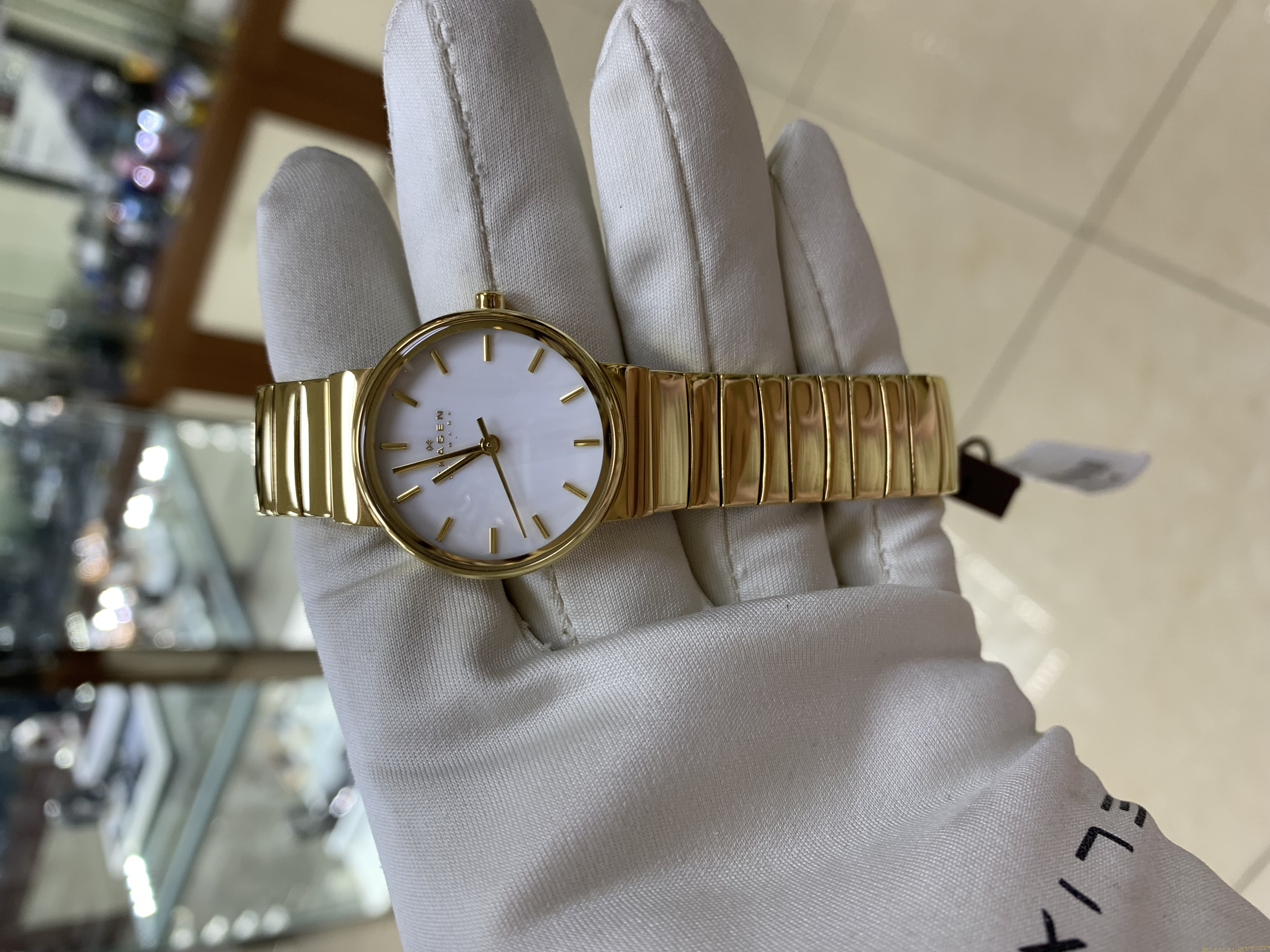 Skagen SKW2199