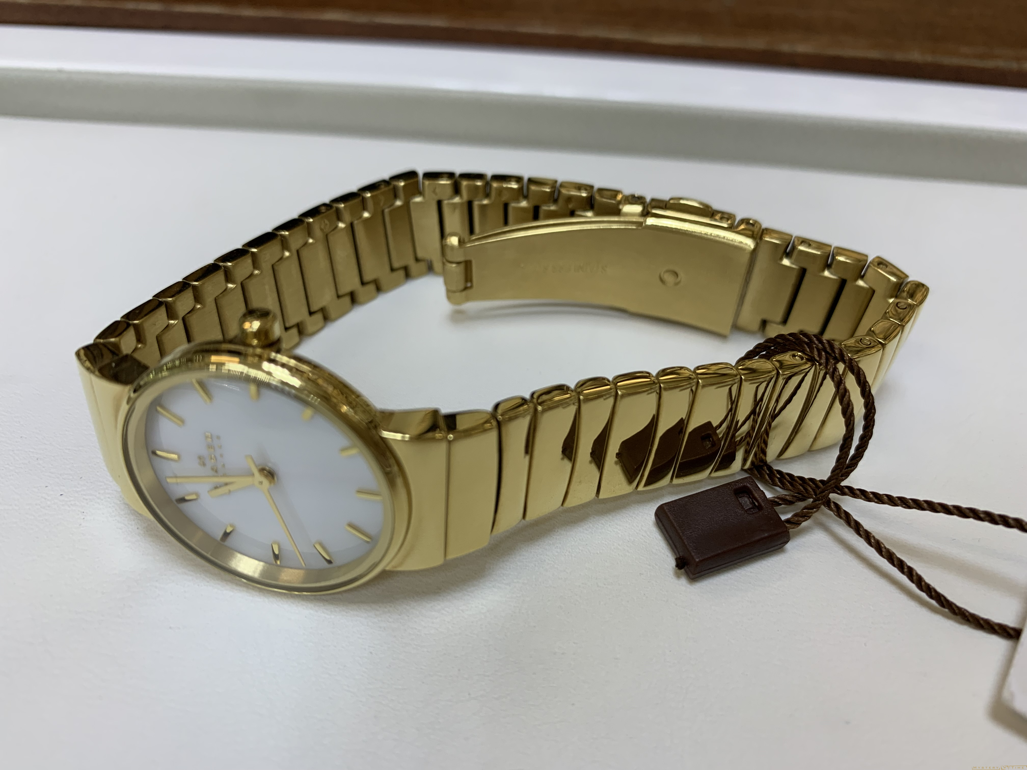 Skagen SKW2199