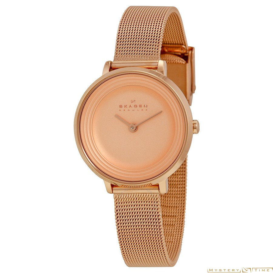 Skagen SKW2213