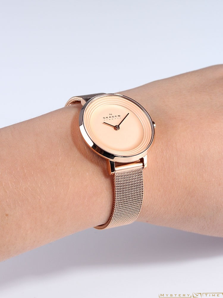 Skagen SKW2213