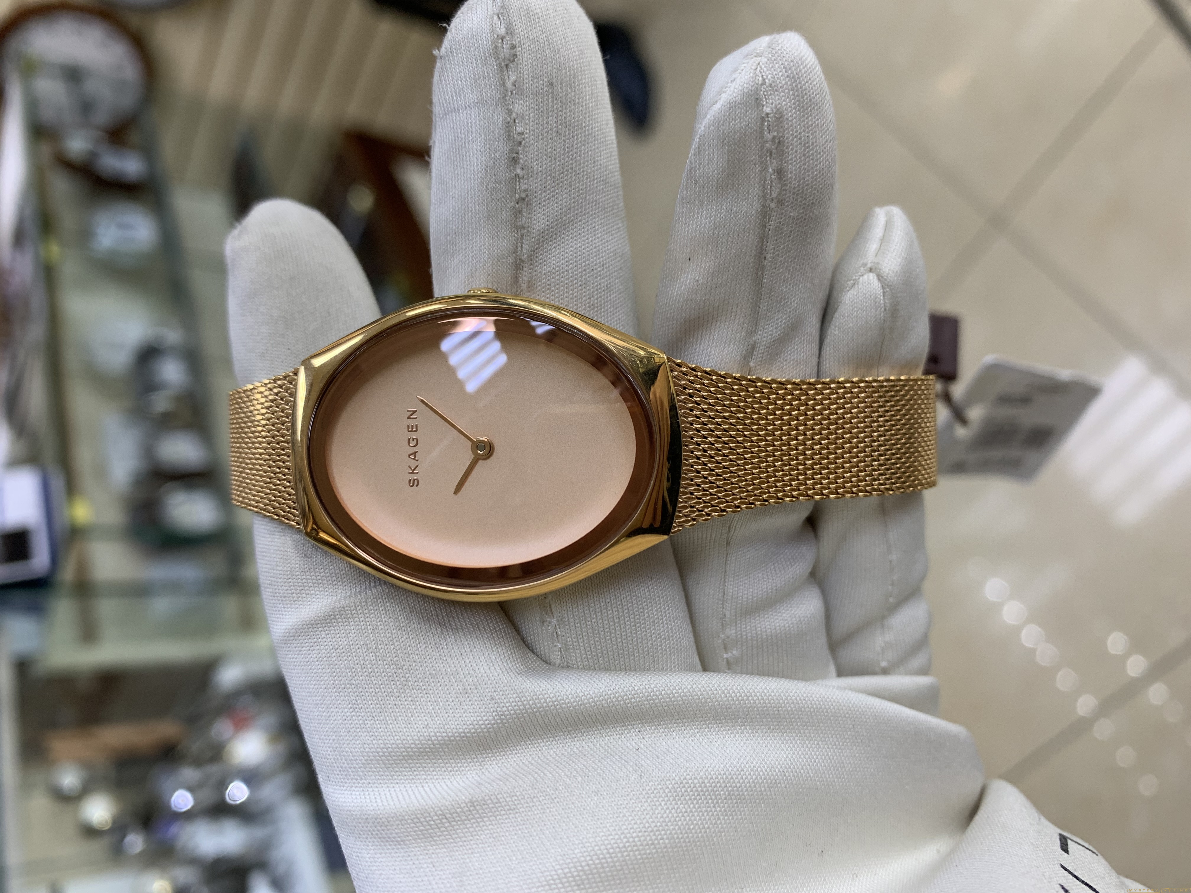 Skagen SKW2299