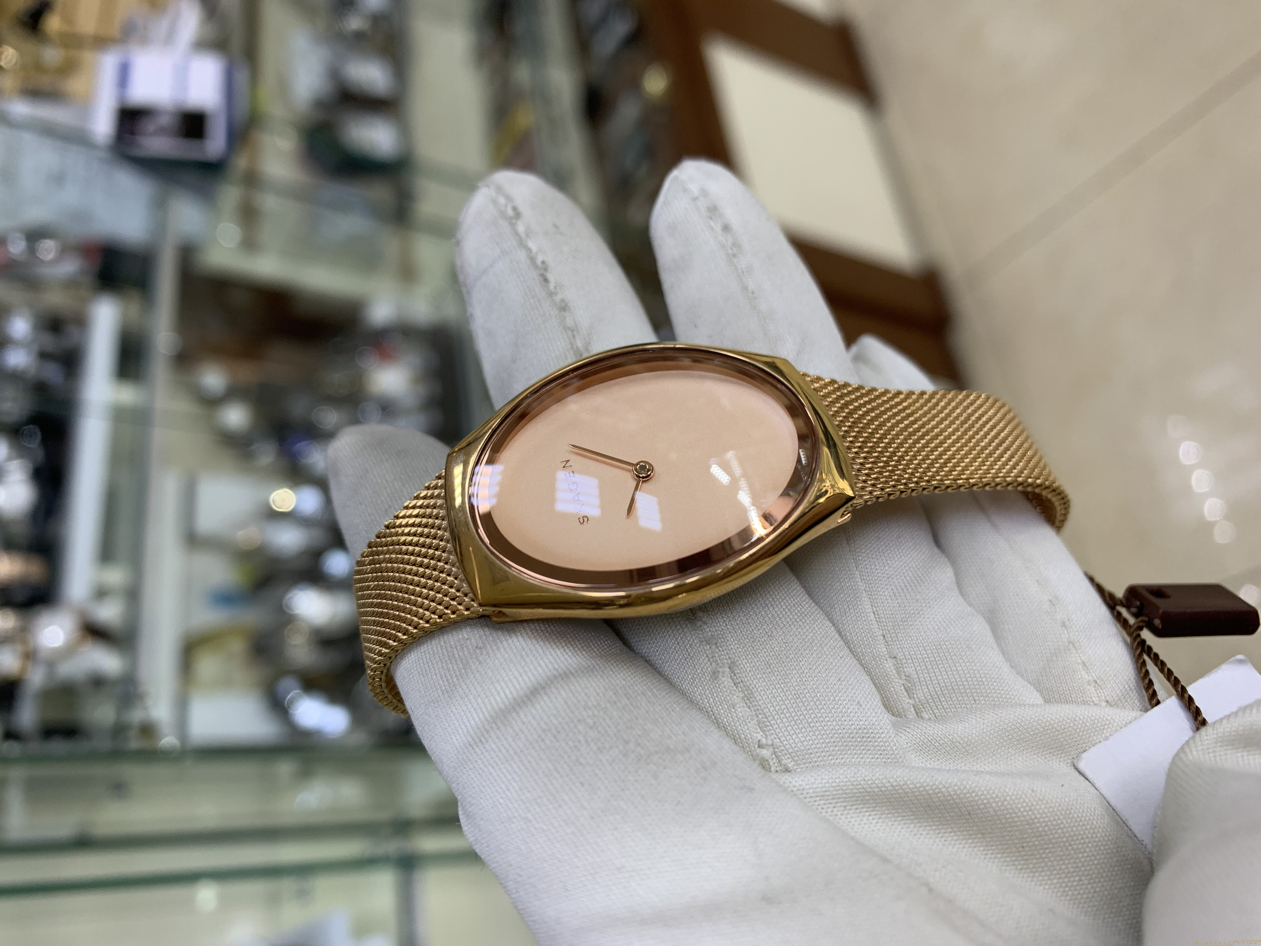 Skagen SKW2299