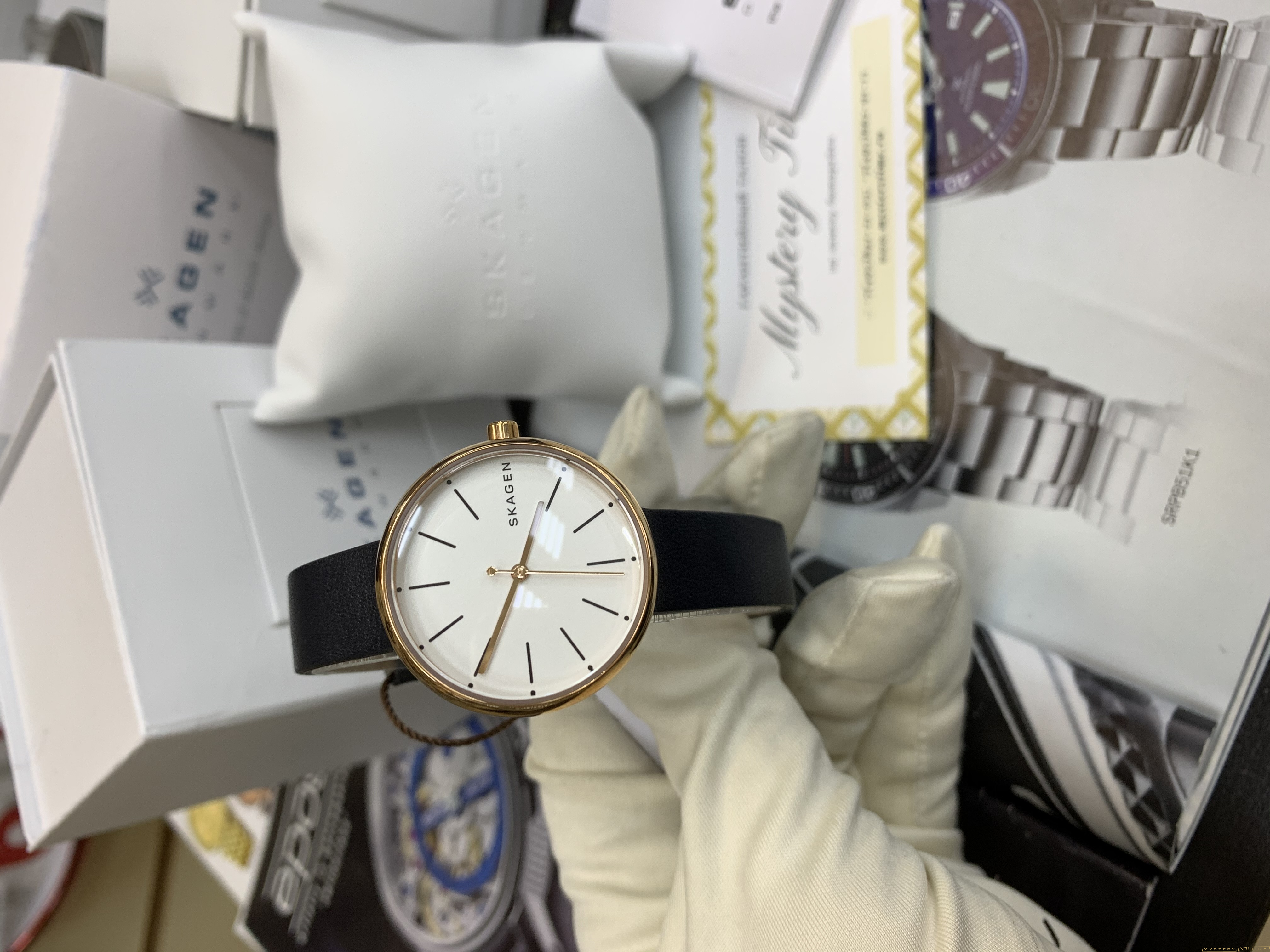 Skagen SKW2592
