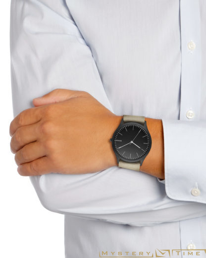 Skagen SKW6367