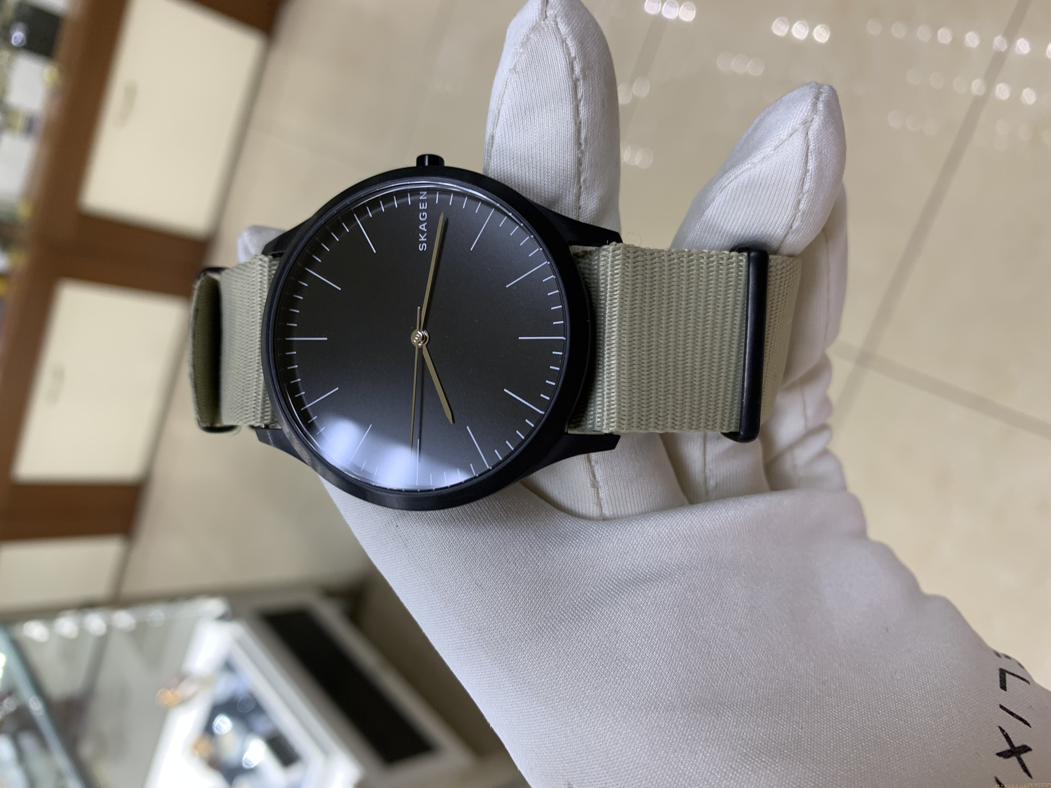 Skagen SKW6367