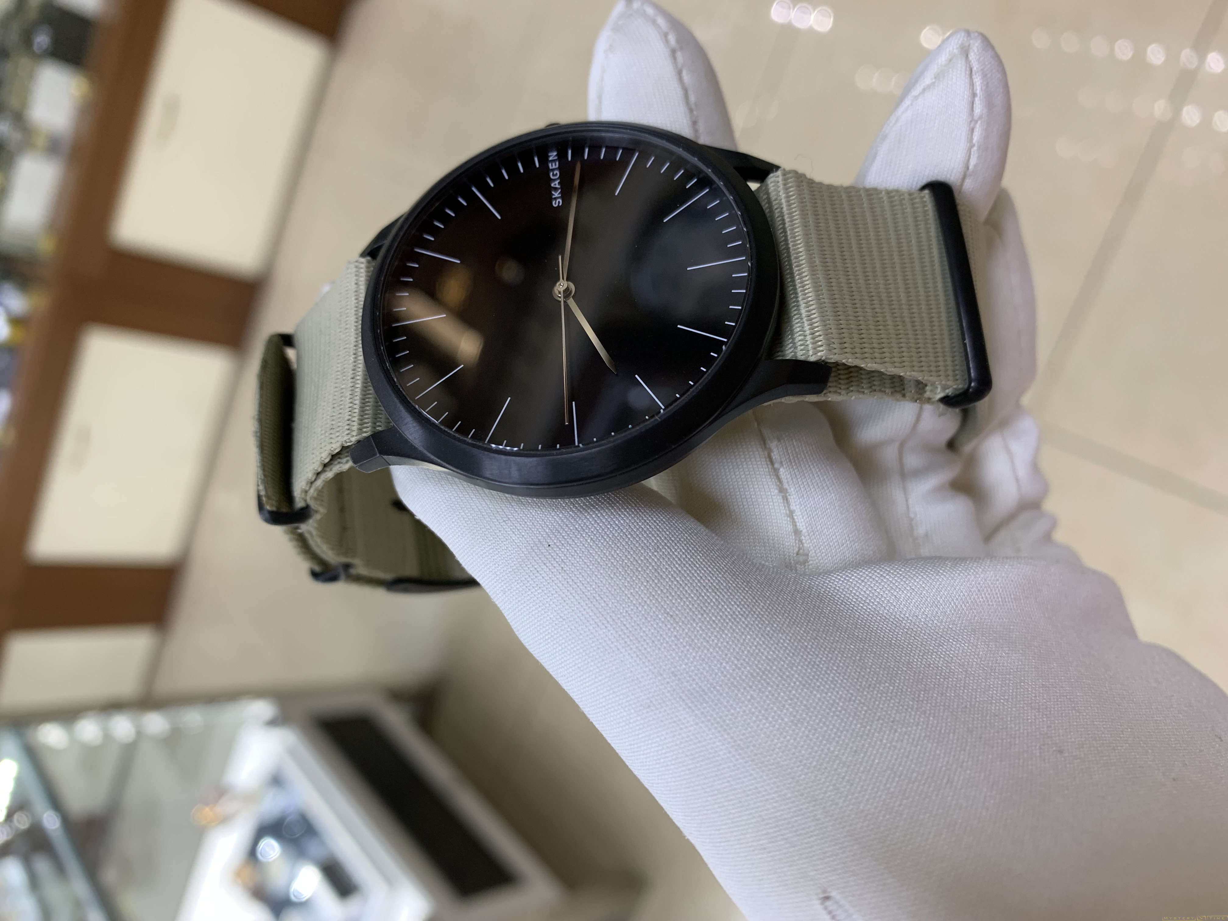 Skagen SKW6367