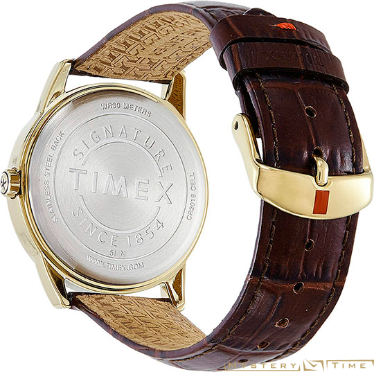 Timex TW2R65100RY