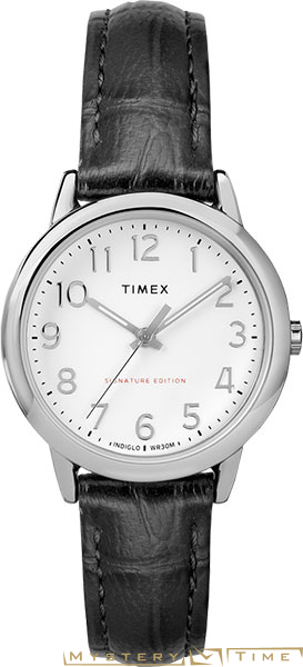 Timex TW2R65300RY