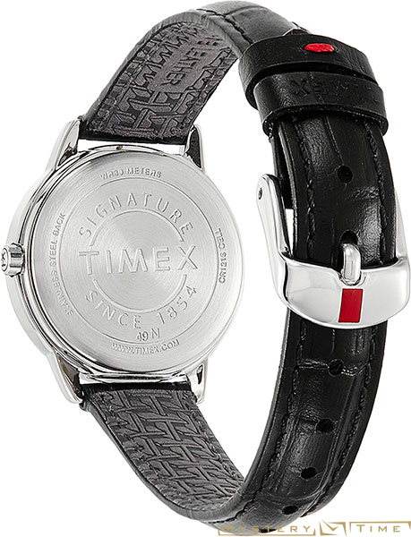 Timex TW2R65300RY