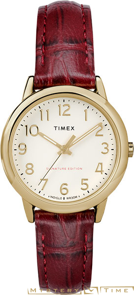 Timex TW2R65400RY