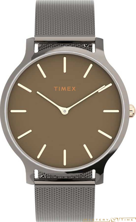 Timex TW2T74000VN