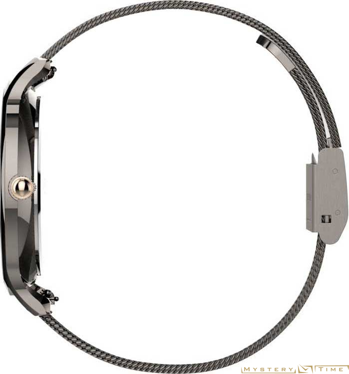 Timex TW2T74000VN