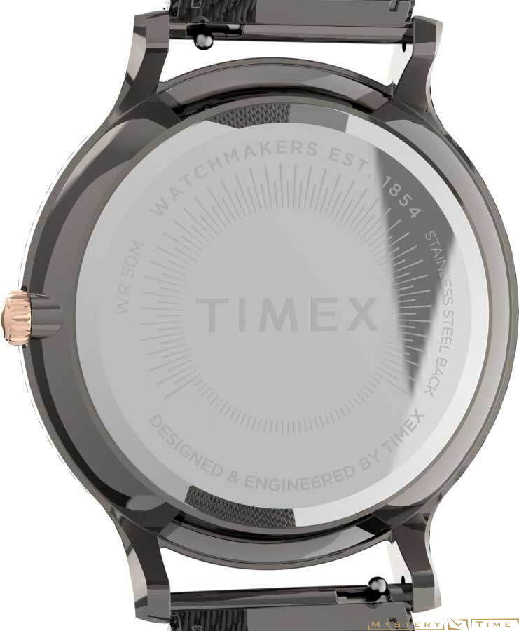 Timex TW2T74000VN