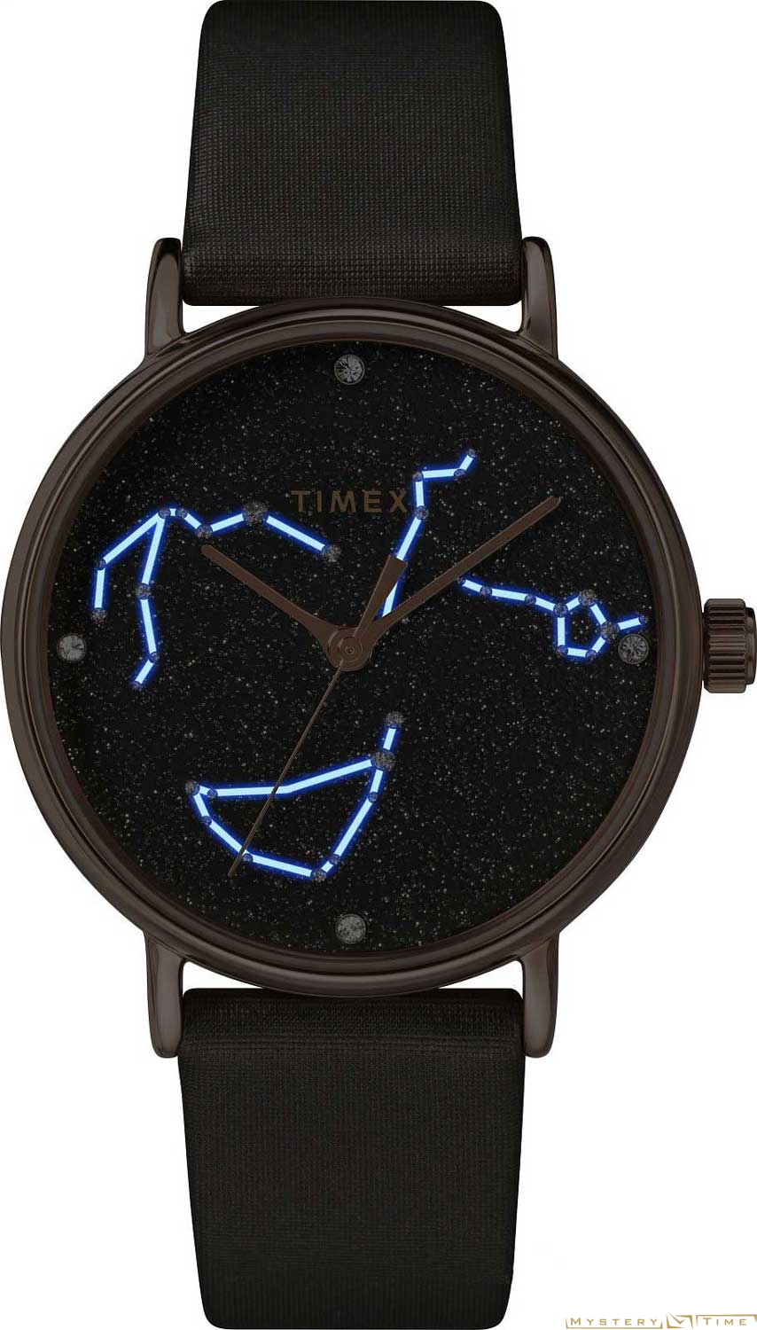 Timex TW2T87700VN