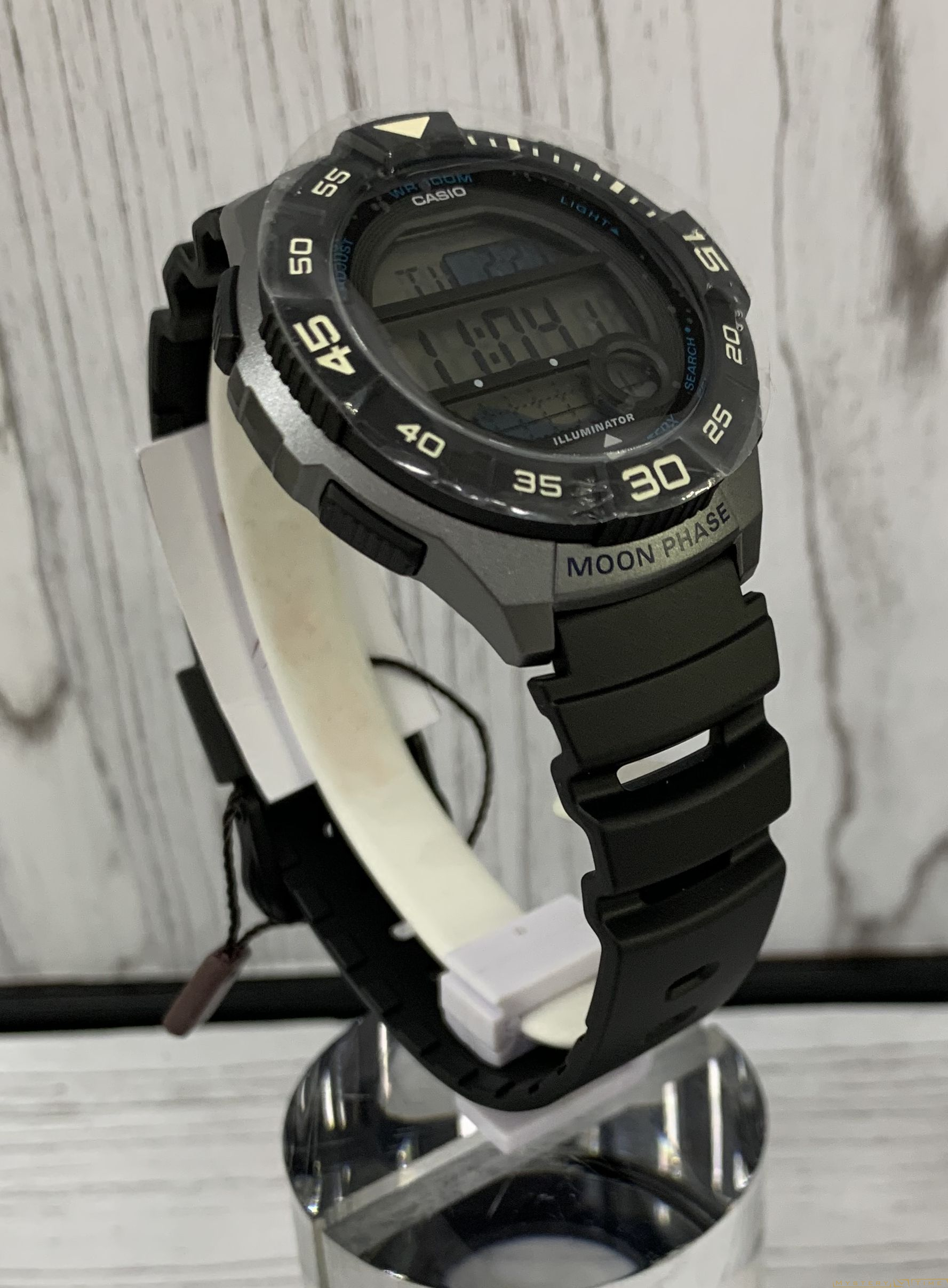 Casio WS-1100H-1AVEF