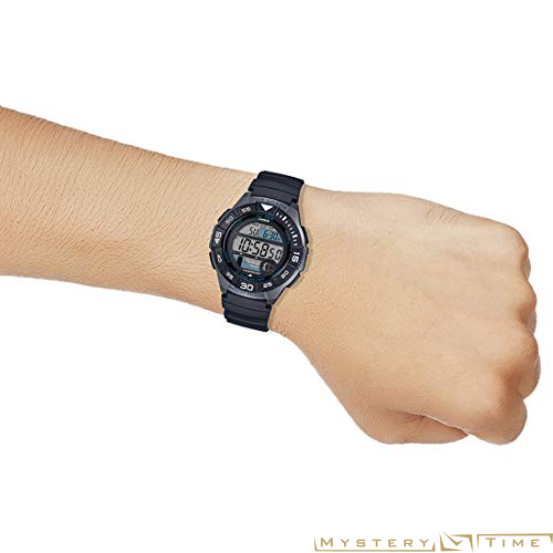 Casio WS-1100H-1AVEF