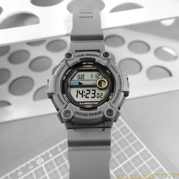 Casio WS-1300H-8A
